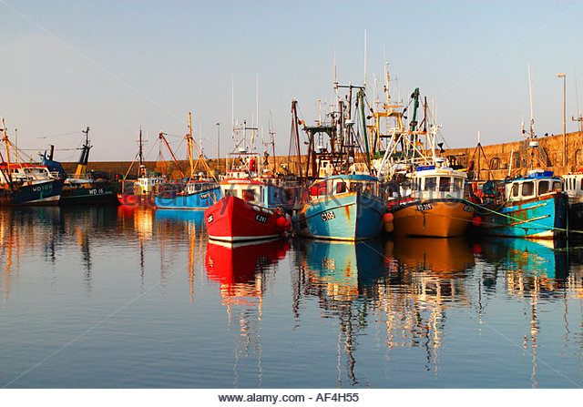 Barcos-de-pesca-sardina