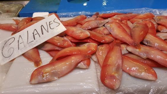 Galanes en Restaurante Neptuno Mojácar